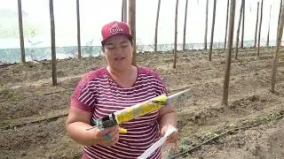 Quanto gastamos pra fazer nossa estufa Londrina??🍅🥒🍅🥒🌶️🌶️🍅🥒