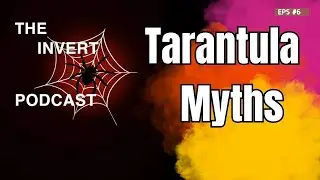 The Invert Podcast | EPS 6 | Tarantula Talk | Myths and Legends