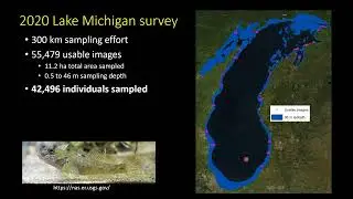 Gobybot and deepwater electrofishing to assess round goby abundance in Lake Huron