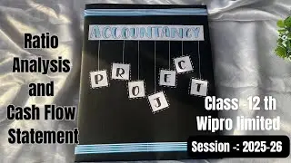 Class 12 th Project on Ratio analysis and cash flow statement | CBSC class 12