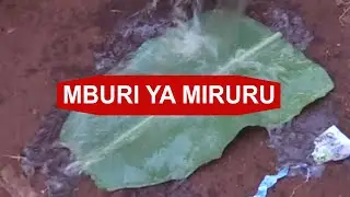 MBURI YA MIRURU