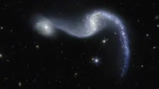 Spiral Galaxy NGC 646