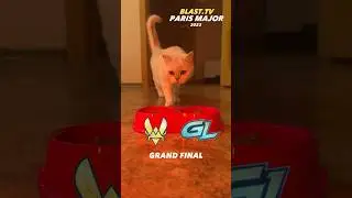 Кто выиграет Grand Final Blast Paris Major 2023?