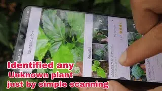 How to identify any unknown plants just simple scanning