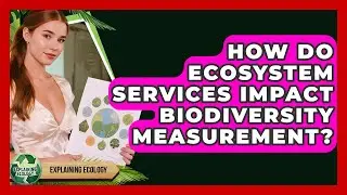 How Do Ecosystem Services Impact Biodiversity Measurement? - Explaining Ecology