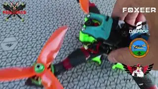 Foxeer Predator V2 vs Foxeer Falkor