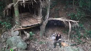 Сюрприз с Deep Forest Shelter, Wild Food, Catch and Cook: Survival Alone | ЭП.222