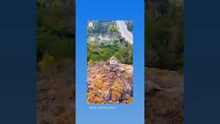 Canary hill Anna