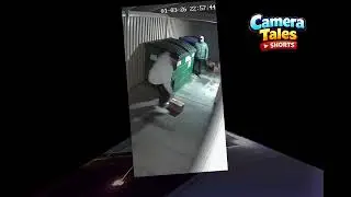 Funny Porch Reactions Compilation (Caught on Ring Camera) - Sora 2