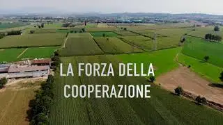 CIS - Vi aspettiamo Fiera di Cremona 2019