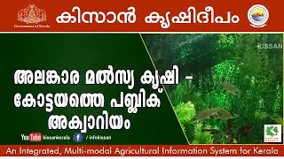 Feature on Ornamental Fish rearing : Fish Galaxy- Public Aquarium at  Nagambadam, Kottayam