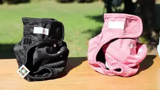Paw Legend Reusable Female Dog Diapers
