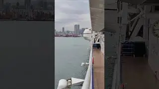 Powerful Horn of Discovery Princess Cruise Ship👑🚢 #discoveryprincess
