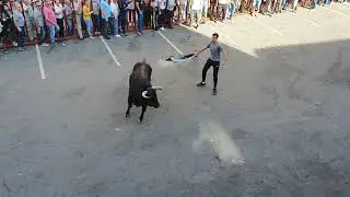 (1) ULTIMO ENCIERRO DE OLIAS DEL REY..2019