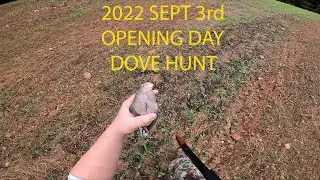 2022 Opening Day Dove Hunt On PUBLIC Land!