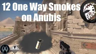 CS GO 12 One Way Smokes on Anubis (CT)