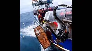 700 Crabs in One Trap?! Captain Jake Battles Storms, Injuries, and Wins Big!