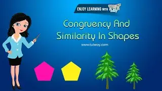 Shapes | Congruent Shapes and Similar Shapes | Concepts, Examples | 3D Shapes | Math