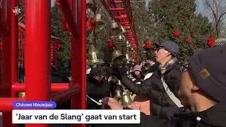 Jaar van de slang