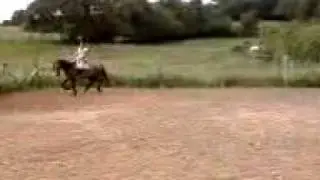 caballo3