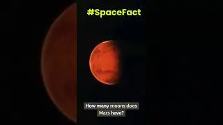 How many Moons does Mars have? #spacefacts #spacelovers #solarsystem #planets #moon