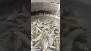 Village style fish recipe #fish pitika #assamese Traditional food #shorts #assam.
