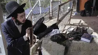 Funerals underway after Jewish pilgrimage crush kills 45 in Israel