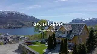 BesteBakken - Sleep with Alpacas