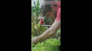 The History of Altruism Why We Help #facts #amazingfacts #science #shorts