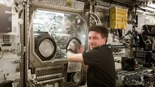 Microgravity Science Glovebox | Wikipedia audio article