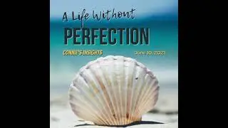 A Life Without Perfection