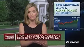 EU agrees to cut industrial tariffs and import more US soybeans, Dow Jones reports