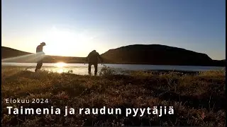 Taimenia ja raudun pyyt&auml;ji&auml; (Finnmark 2024)