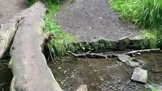 A STUNNING PARK IN THE CITY! EXPLORING TOLLCROSS PARK, A TOUR OF THE PARK IN THE EAST END!