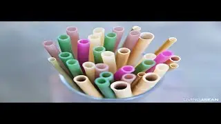 The Most Eco-friendly Drinking Straws- 100% biodegradable and made from natural plant