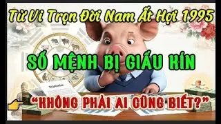 Tử Vi Trọn Đời Nam Ất Hợi 1995 | Số Mệnh – Tài Lộc – Hôn Nhân
