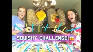 ULTIMATE HOMEMADE SQUISHY CHALLENGE! Ft. Abigail