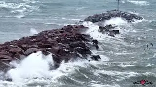 Seagulls Flying in Slow Motion During a Storm 🐦🌪️ (So Satisfying!) 6K Drone Footage