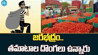400 Kg Of Tomatoes Stolen From Farmer House In Pune Maharashtra, Case Registered || iDream news