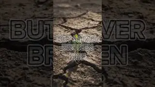 Buried But Never Broken: Rise Above! 🌱 #shorts #motivation #inspiration #success #viral