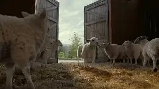 Cox Mobile / We&rsquo;re Different Because You&rsquo;re Different - 2023 Super Bowl Commercial