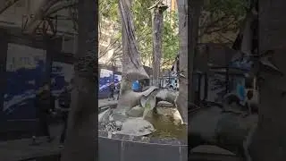 Mana native Australian animals Water feature #art #sydney #statue #publicart #didgeridoo