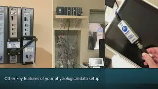 OHBM 2024 | Educational Course | Physiologic signals to measure body-brain interactions | Part 2