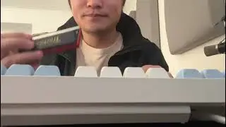 Wooden cover version of Trochilus