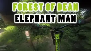 Forest of Dean - Elephant Man