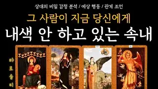 [타로카드/속마음] 그 사람이 지금 당신에게 ‘내색 안 하고 있는 속내’는? (+ 비밀 감정 분석 / 행동 예측 / 현실 전략 조언)