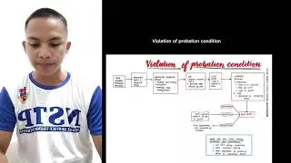 FOR EDUCATIONAL PURPOSES ONLY!!!!  Title: THE PROCESS OF PROBATION SYSTEMInstruction: