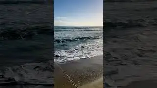 Soft Ocean Waves at Sunset | Beach ASMR 🌴🌊 #waves #beach #travel #ocean