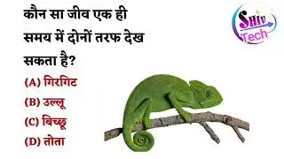 जानवरों से संबंधित बहुविकल्पीय प्रश्न || #science #facts 