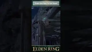 That's Certainly One Way Down To Radahn